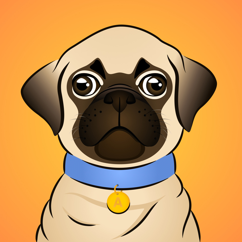 Final result of the Dog drawn in Amadine