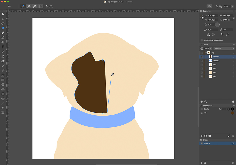 Amadine interface with the half of the dog’s snout