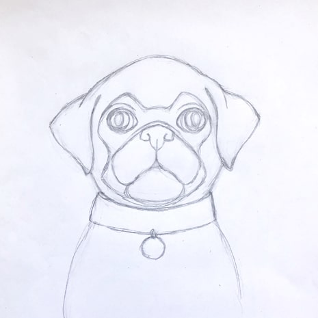 A hand drawn image of a dog