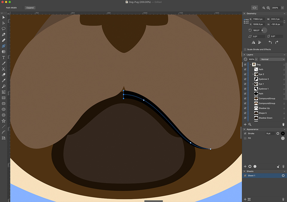 Amadine interface with the lower part of the pug’s snout