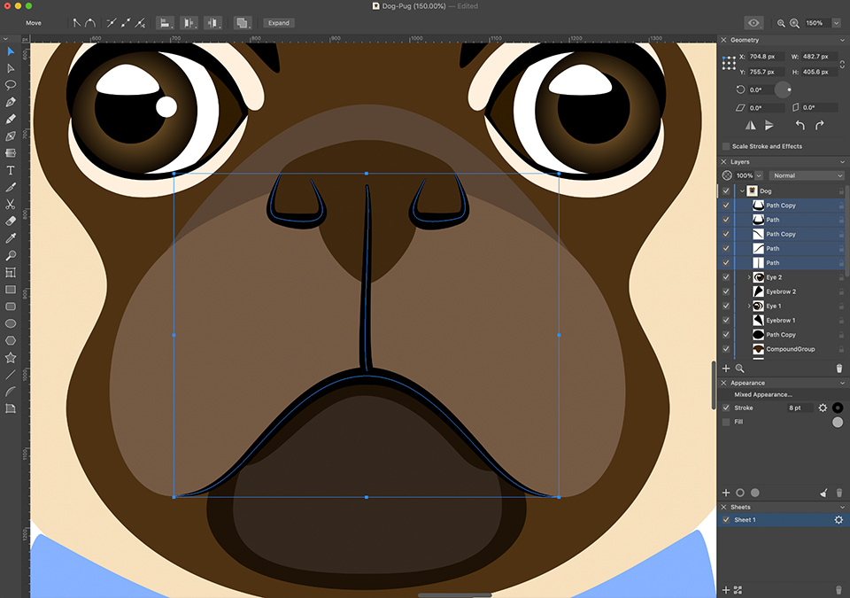 Amadine interface with the middle part of the pug’s snout