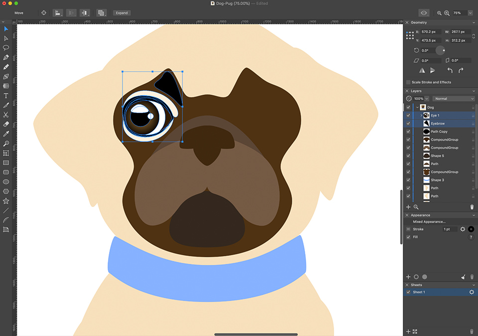 Amadine interface with the pug’s snout with one fully drawn eye