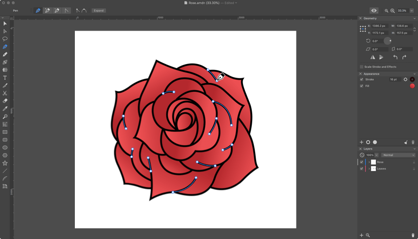 More contours being added to the colored rose flower in Amadine