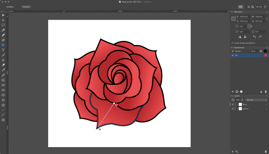 The rose being colored with gradients in Amadine