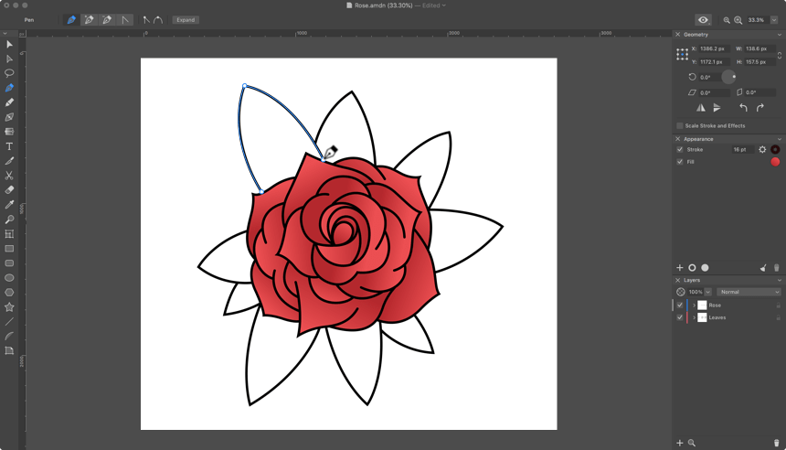 The leaves are being drawn behind the flower in Amadine