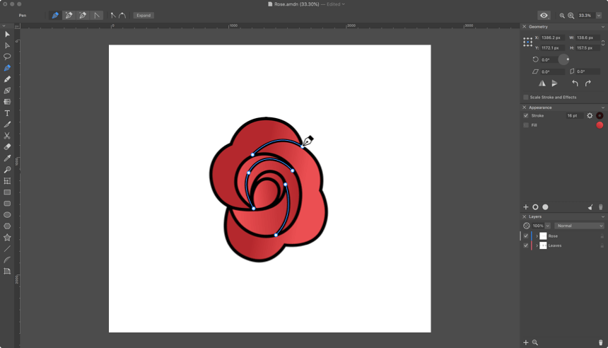 More contours being added to the colored middle of a rose in Amadine