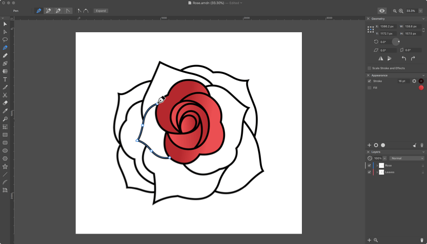 The petals being added behind the colored middle of a rose in Amadine