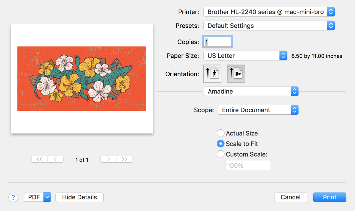 The Print dialog